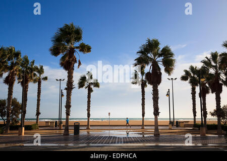Einsame Jogger an der Strandpromenade von Valencia in der Wintersonne mit windigen Palmen Stockfoto