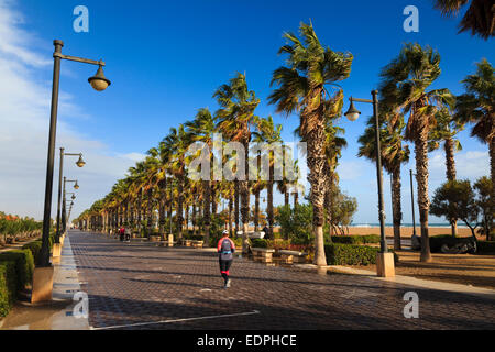 Ein Jogger läuft entlang der Promenade vorbei an windigen Palmen in Valencia in der Wintersonne Stockfoto