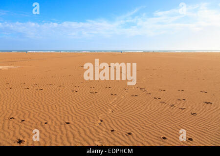 Hund-Tracks auf einer ansonsten unberührten einsamen Strand im Wintersonne in Spanien Stockfoto