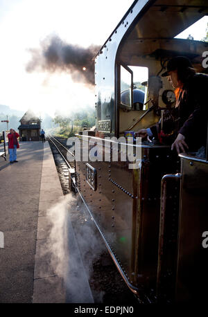 Ein Dampfzug mit Fahrer und Zuschauer auf dem Bahnsteig auf der Welshpool and Llanfair Light Railway. Stockfoto