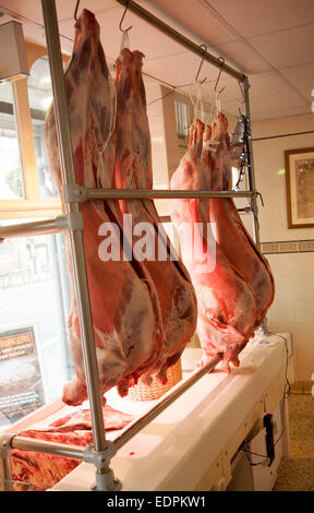 Ganze Lämmer hängen an Haken in eine traditionelle Metzgerei, Marlborough, Wiltshire, England, UK Stockfoto