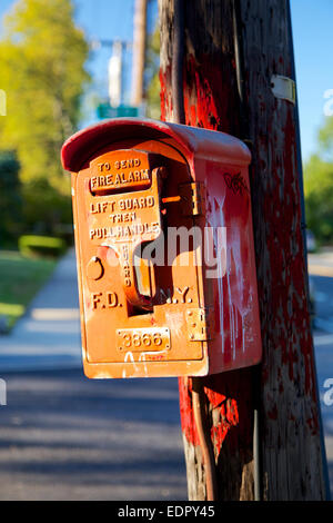 BAYSIDE, NY, USA - 29. September 2013: Alte FDNY Fire Alarmbox auf ein Strommast in einer Wohnstraße in Bayside (Queens), NY Stockfoto