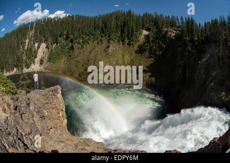 Ein Mann steht auf einer felsigen Punkt neben den Upper Falls des Yellowstone River, Yellowstone-Nationalpark, Wyoming (digital Stockfoto