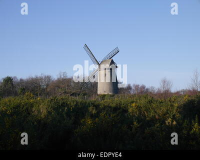 Bidston Hill Windmühle Stockfoto