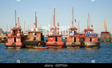 Fischer, die Patrouille Boote vor Anker im frühen Morgen Morgenlicht in Hoi an, Vietnam Stockfoto