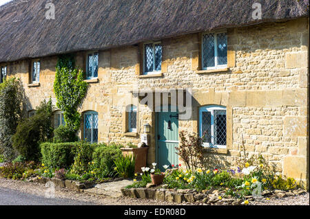 Charmante ziemlich Reetdachhaus mit thatching verbleit helle Fenster und Frühlingsblumen Taynton, Cotswolds, Oxfordshire, Stockfoto