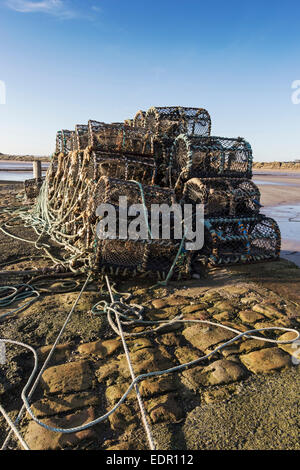 Hummer-Töpfe gestapelt auf Beadnell Bay Pier in Northumberland, England Stockfoto