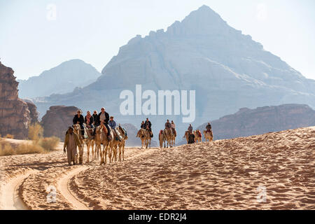 Kamele, fotografiert in Wadi Rum, Jordanien Stockfoto