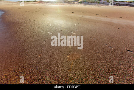 Spuren im Sand an der Achnahaird Bay in der Nähe von Achiltibuie Ross und Cromarty Scotland UK Stockfoto