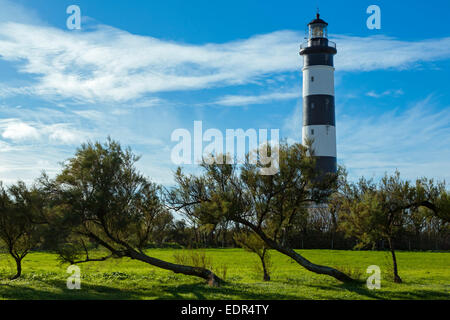 Leuchtturm Chassiron, Oléron Insel, Poitou Charente, Charente-Maritime, Frankreich Stockfoto