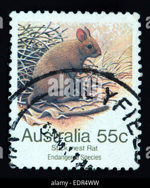 Verwendet und Poststempel Australien / Austrailian Stempel Stick Nest Ratte bedrohte Arten 55c Stockfoto