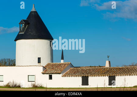 Ars-En Re, Re Insel, Charente-Maritime, Frankreich Stockfoto