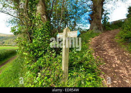 Die Viehtreiber Trail Wanderweg und Maultierweg in West Luccombe im Exmoor National Park in der Nähe von Allerford, Somerset, Großbritannien Stockfoto