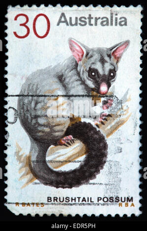 Verwendet und Poststempel Australien / Austrailian Stempel 30c Fuchskusu Possum RBA R Bates Stockfoto