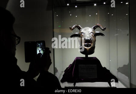 Jinan, China Shandong Provinz. 9. Januar 2015. Ein Besucher nimmt Fotos von der Bronze-Kopf der Kuh während einer Ausstellung der Schätze der Yuanmingyuan im Shandong Provincial Museum in Jinan, der Hauptstadt der ostchinesischen Provinz Shandong, 9. Januar 2015. Bronzeköpfe der Kuh, Tiger, Affe und Schwein und mehr als 100 Relikte aus der Yuanmingyuan wurden in der Ausstellung. © Xu Suhui/Xinhua/Alamy Live-Nachrichten Stockfoto