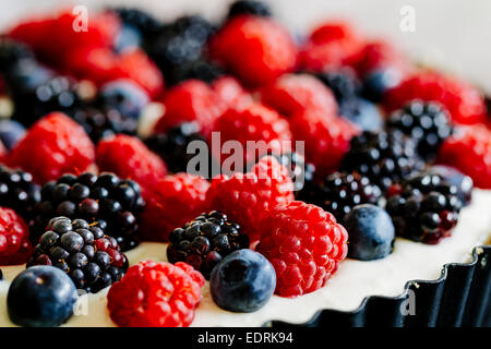 Berry und Mascarpone Torte Stockfoto