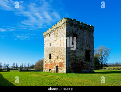 Stapleton Wohnturm, in der Nähe von Annan, Dumfries & Galloway, Schottland, Vereinigtes Königreich Stockfoto