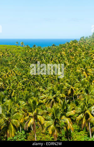 Dominikanische Republik, Halbinsel Samana, Blick Vom Aussichtspunkt am Boulevard Turistico del Atlantico eine der Nordküste Bei La Stockfoto