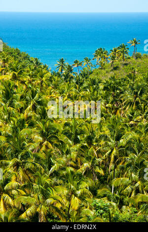 Dominikanische Republik, Halbinsel Samana, Blick Vom Aussichtspunkt am Boulevard Turistico del Atlantico eine der Nordküste Bei La Stockfoto