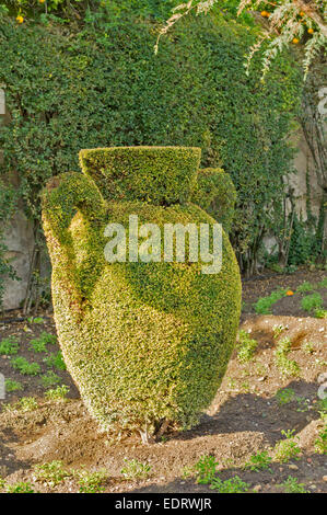 CORDOBA IM GARTEN DES ALCAZAR VON CHRISTIAN KINGS HECKE IN FORM EINER VASE ODER STEINGUT-TOPF Stockfoto