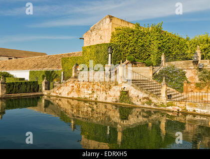 CORDOBA IN DEN GÄRTEN DES ALCAZAR DER CHRISTLICHEN KÖNIGE EINE REIHE VON SCHRITTEN UND EIN POOL MIT FISCH Stockfoto