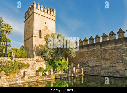 CORDOBA IN DEN GÄRTEN DES ALCAZAR DER CHRISTLICHEN KÖNIGE, EINEN TURM UND EINEN POOL MIT FISCH Stockfoto