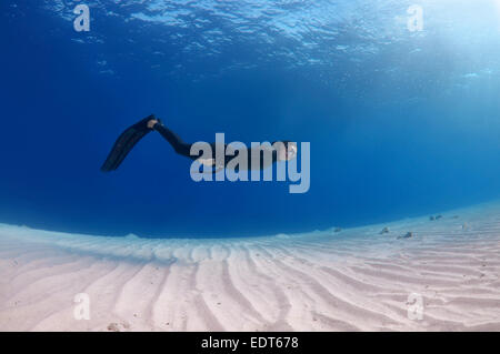 Freediver schwimmt über sandigem Untergrund, Rotes Meer, Ägypten Stockfoto