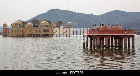 Die teilweise untergetauchten achtzehnten Jahrhundert Jal Mahal Wasserpalast auf dem Mann Sagar See in Rajasthan, Indien Stockfoto