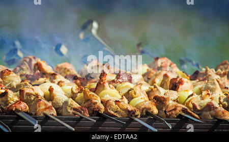 Auf die Spieße auf dem Grill gebraten Spieße mit Zwiebelringen Stockfoto