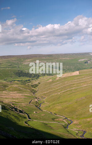 Blick Swaledale von den Buttertubs-Pass, North Yorkshire, UK. Stockfoto