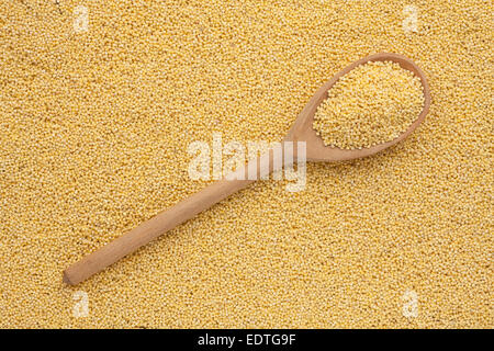 Kochlöffel mit Hirse ist auf eine Reihe von Hirse, kann als Hintergrund verwendet werden Stockfoto