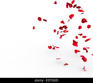 Rosenblätter fallen auf eine Fläche auf einem weißen Hintergrund isoliert Stockfoto