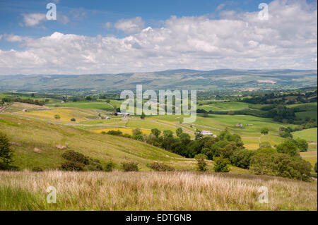 Blick über das obere Eden-Tal vom Wildschwein fiel, in Richtung der Pennine Fells, in der Nähe von Kirkby Stephen, Cumbria. Stockfoto