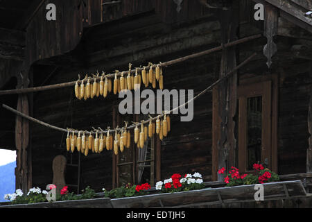 Altes Holzhaus in Ladis, altes Holzhaus in Ladis, Tirol, Ladis, Österreich, Dorf, Zentrum, Inntal, Tirol, Österreich Stockfoto