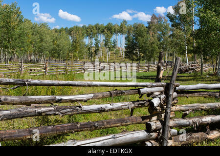 Zäune entlang County Rt 5 außerhalb Ridgeway Colorado Stockfoto