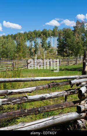 Zäune entlang County Rt 5 außerhalb Ridgeway Colorado Stockfoto