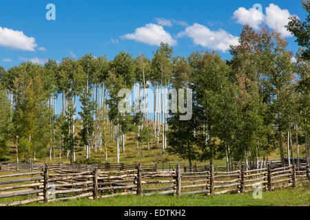 Zäune entlang County Rt 5 außerhalb Ridgeway Colorado Stockfoto