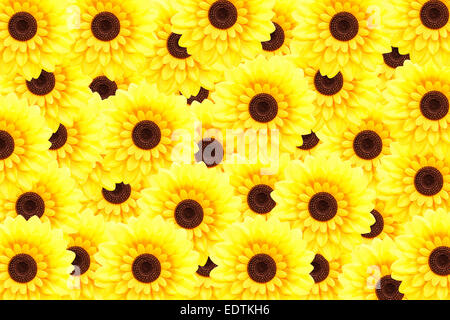 Künstliche Sonnenblumen Hintergrund (Helianthus Annuus) Stockfoto