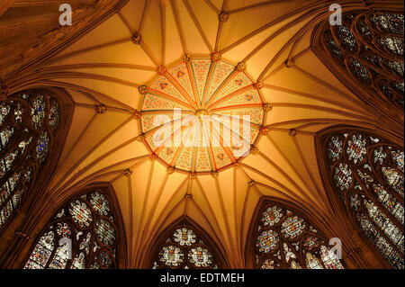 YORK MINSTER DECKE Stockfoto