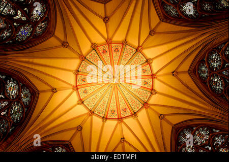 YORK MINSTER DECKE DETAIL Stockfoto