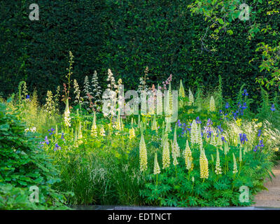 Chelsea flower show Stockfoto