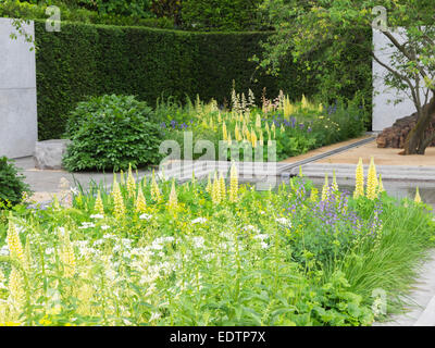 London, UK, 20. Mai 2014 RHS Chelsea Flower Show erste Tag.  Laurent-Perrier Garten von Luciano Giubbilei entworfen.  Gold mir Stockfoto