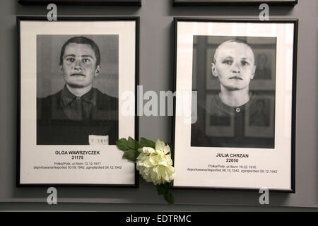 Die Bilder von zwei Frauen mit rasierten Köpfen sind auf Anzeige in einem der Blöcke in das Frauenlager des KZ Auschwitz-Birkenau in Oswiecim, Polen, 11. Dezember 2014. Das Haar der weiblichen Häftlinge, die im Camp angekommen waren rasiert aus und gesammelt. Demütigung war ein Element, aber ihre Haare diente auch als Rohmaterial für die Weiterverarbeitung. Bei der Befreiung des Lagers war wurde rund 7,7 Tonnen Haar gefunden. Befreiung des Lagers wurde durch sowjetische Truppen am 27. Januar 1945 und wurde 1947 in eine Gedenkstätte und ein Museum umgebaut. Foto: Frank Schumann/Dpa - NO-Draht-Dienst- Stockfoto