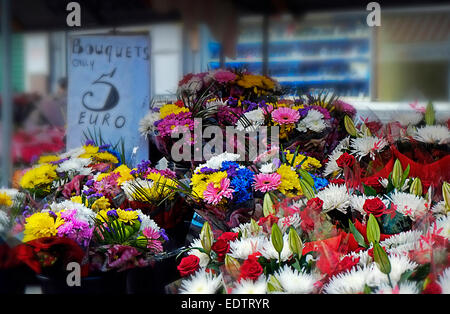 Blume-Stall in der Moore Street Market Dublin, Irland Stockfoto