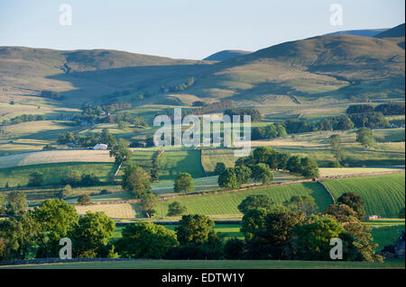 Ackerland um Ravenstonedale in der Eden Valley, Cumbria, auf einem angenehmen Sommerabend. Stockfoto