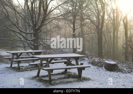 Winterwetter, Holzbänken und Tischen fallenden Schnee in Cumbria, England Stockfoto