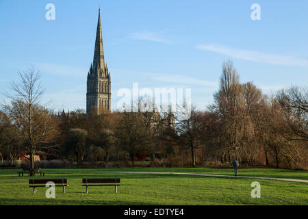 Blick auf die Kathedrale von Salisbury Spire von Queen Elizabeth Gardens in Mill Road. Eine Person Spaziergänge auf dem Weg zur Turmspitze. Stockfoto