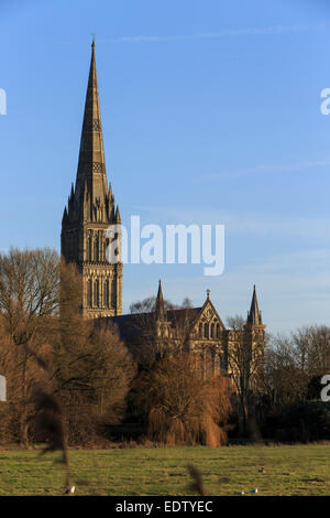 Blick auf die Kathedrale von Salisbury Spire von 'Stadt Path' mit ' Harnham Auen "im Vordergrund. Stockfoto