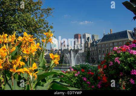 Leuchtende Blumen blühen in den Gärten rund um öffentliche Gebäude in den Haag Stockfoto