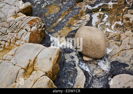 FELSFORMATIONEN sind ein Lieblingsfach in WESTON BEACH - POINT LOBOS STATE PARK, Kalifornien Stockfoto